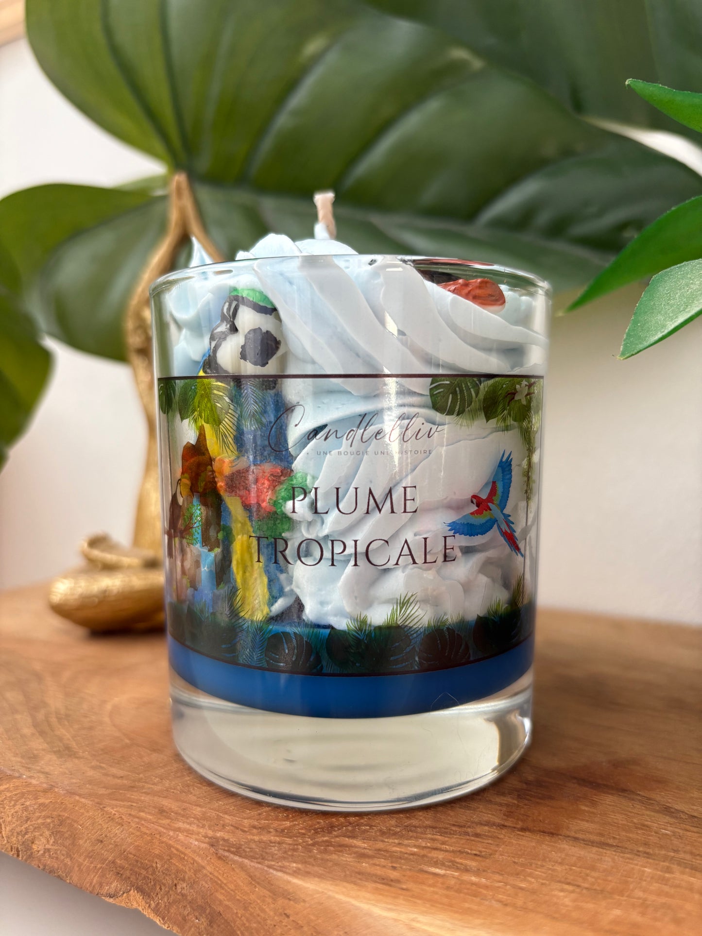 Bougie - Plume tropicale